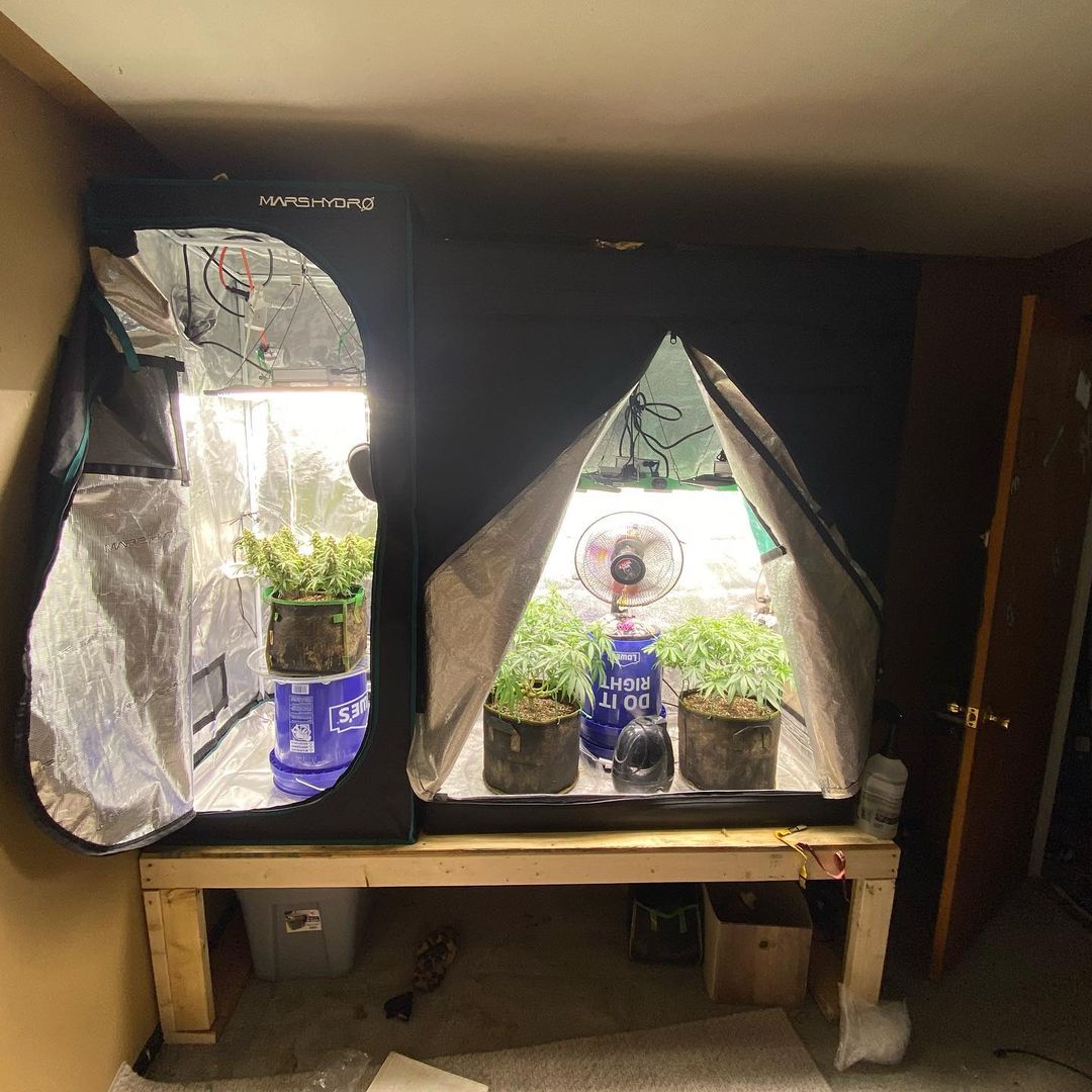REDUCED PRICE Hydroponics Twin Two 2 Tier Grow Tent 1.2 x 1.2 x 2m Grow Room eBay