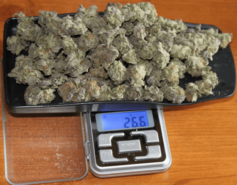 Best Weed Scale