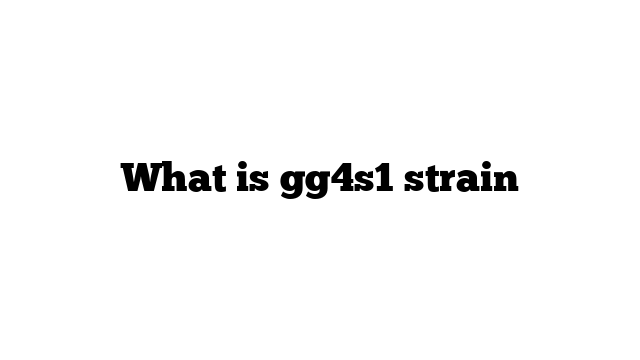What is gg4s1 strain