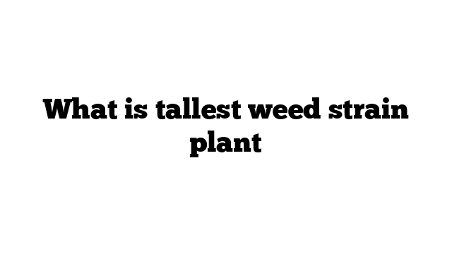 Title: Unveiling the Tallest Weed Strain: Exploring the World of ...