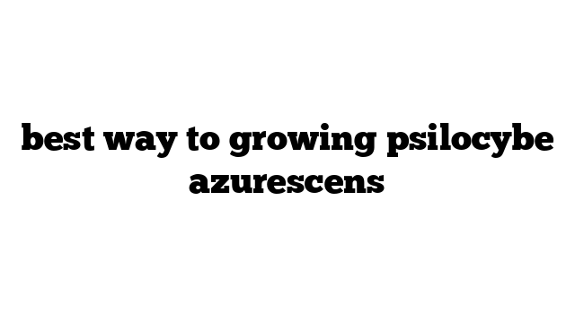 best way to growing psilocybe azurescens